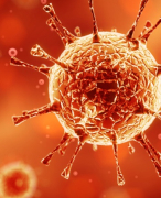 Samenvatting Biologie: Regeling en Bescherming