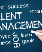 Samenvatting Talent development