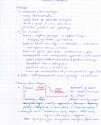 Automotive Management Theorie + Samenvatting