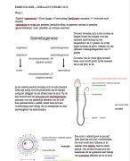 Samenvatting embryologie blok orgaansystemen