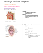 Samenvatting Neuro-anatomie (LOG1)