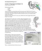 Biomedische Wetenschappen Ontwikkelingsbiologie Deel III