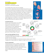 Biomedische Wetenschappen Orgaansystemen: Nieren