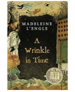 A Wrinkle In Time Book Guide