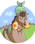 Keuzedeel Paardenkliniek Theorie 