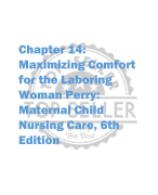 Chapter 14:  Maximizing Comfort  for the Laboring  Woman Perry:  Maternal Child  Nursing Care, 6th  Edition