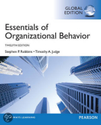 Summary Organizational Behavior 