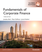 Samenvatting Capital Structure and Financial Planning (E&BE) 