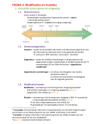 Samenvatting: Objectgeoriënteerd programmeren (Java) - Industrieel ingenieur: informatica (2e jaar)