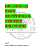 NR 602 Final  EXAM  QUESTIONS &  VERIFIED  SOLUTIONS EXAM