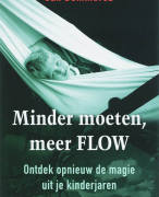 Samenvatting Minder moeten meer FLOW