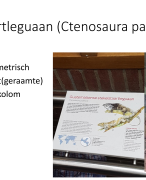 biologie domeinen en taxons