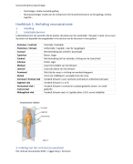 Samenvatting Neuropsychologie - VIVES BATP