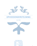 Opvoedingsondersteuning MWD ( VIV Enterprise)