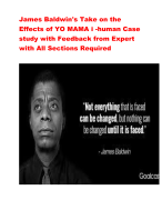 James Baldwin's Take on the Effects of YO MAMA i -human Case study with Feedback from Expert with All Sections Required