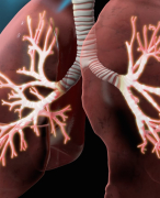 Samenvatting Circulatie en Long, Pulmonologie 2 respiratoir falen