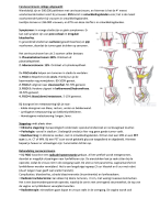 Samenvatting cluster abdomen, colleges schriftelijke toets: anatomie cavitas peritonealis