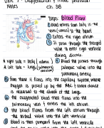 FUNDAMENTAL MOLECULAR BIOLOGY EXAM QUESTIONS AND ANSWERS 2024- 2025 LATEST