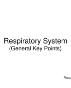Respiratory System (General Key Points)