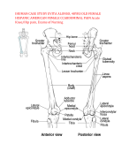 IHUMAN CASE STUDY EVITA ALONSO, 48YRS OLD FEMALE  HISPANIC AMERICAN FEMALE CCABDOMINAL PAIN Acute  Knee/Hip pain, Exams of Nursing
