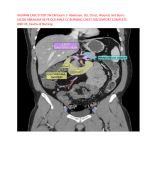 IHUMAN CASE STUDY JW EM Exam 1- Abdomen, GU, Chest, Wounds and Burns JACOB ABRAHAM 58 YR OLD MALE CC BURNING CHEST DISCOMFORT COMPLETE  AND VE, Exams of Nursing