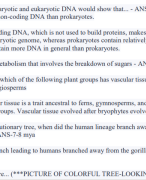 Bsc1005 BIOLOGY MODULE 3 CHAPTER 1-CHAPTER 9  LATEST 2024 (VERIFIED ANSWERS)