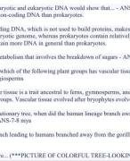 BIO 102 Unit 8 The Urinary System Assignment 1