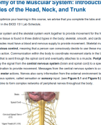 A&P 1 101 Module 4 (GRADED A+) Skeletal system  TEST- Portage Learning