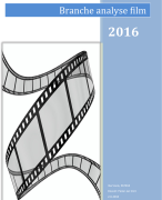 Analyse Nederlandse filmbranche