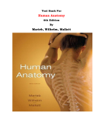Test Bank For Human Anatomy 6th Edition By Marieb, Wilhelm, Mallatt |All Chapters, Complete Q & A, Latest 2024|