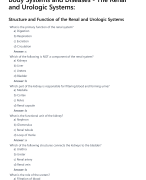 Body Systems and Diseases - The Renal and Urologic Systems: Structure and Function of the Renal and Urologic Systems 2024