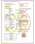 ENT - Midterm Samplex With Ratio 2024