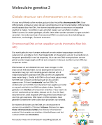 Moleculaire Genetica 1 Oefententamen met antwoorden 2016