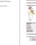 Samenvatting Biopsychosociaal - OLZS - Leerjaar 1 - Ergotherapie 