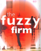 Fuzzy Firm samenvatting - Hoofdstuk 6 t/m 11 + 14