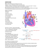 Anatomie & fysiologie: h9: algemene en specifieke zintuigen.