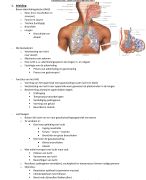 Anatomie Ademhaling stelsel 