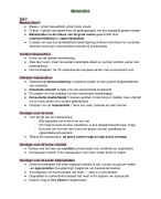 Kunst algemeen havo/vwo 4-5 Bespiegeling