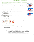 Embryologie (cardiovasculair stelsel, ademhaling, nier en urinewegen)