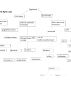 afp h6 HORMONEN