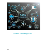 Paper Business Datamanagement, HBO Business IT & Management fase (leerjaar) 3, cijfer 7,3, 2023, incl. opmerkingen beoordelaar.