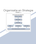 Organisatie en Strategie (midterms)