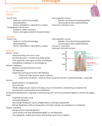 histologie (gastro-intestinaal en endocrien stelsel, stofwisseling)