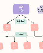 schema aneuploïde cellen: 