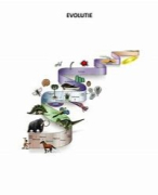 Samenvatting H10, Evolutie - biologie Nectar