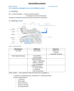 Samenvatting anatomie logopedie en audiologie 