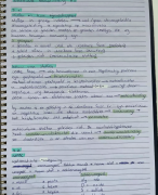 ASO 4de jaar Naw Hoofdstuk 3 Chemie