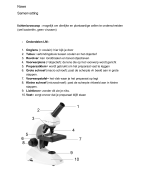natuurwetenschappen (SJB) 5e jaar