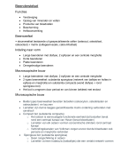 beenderstelsel fysiologie module 1
