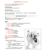 LOI Anatomie en Fysiologie / Algemene Medische Kennis 5 De Circulatie
